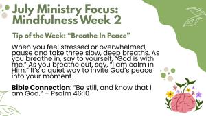 Week 2